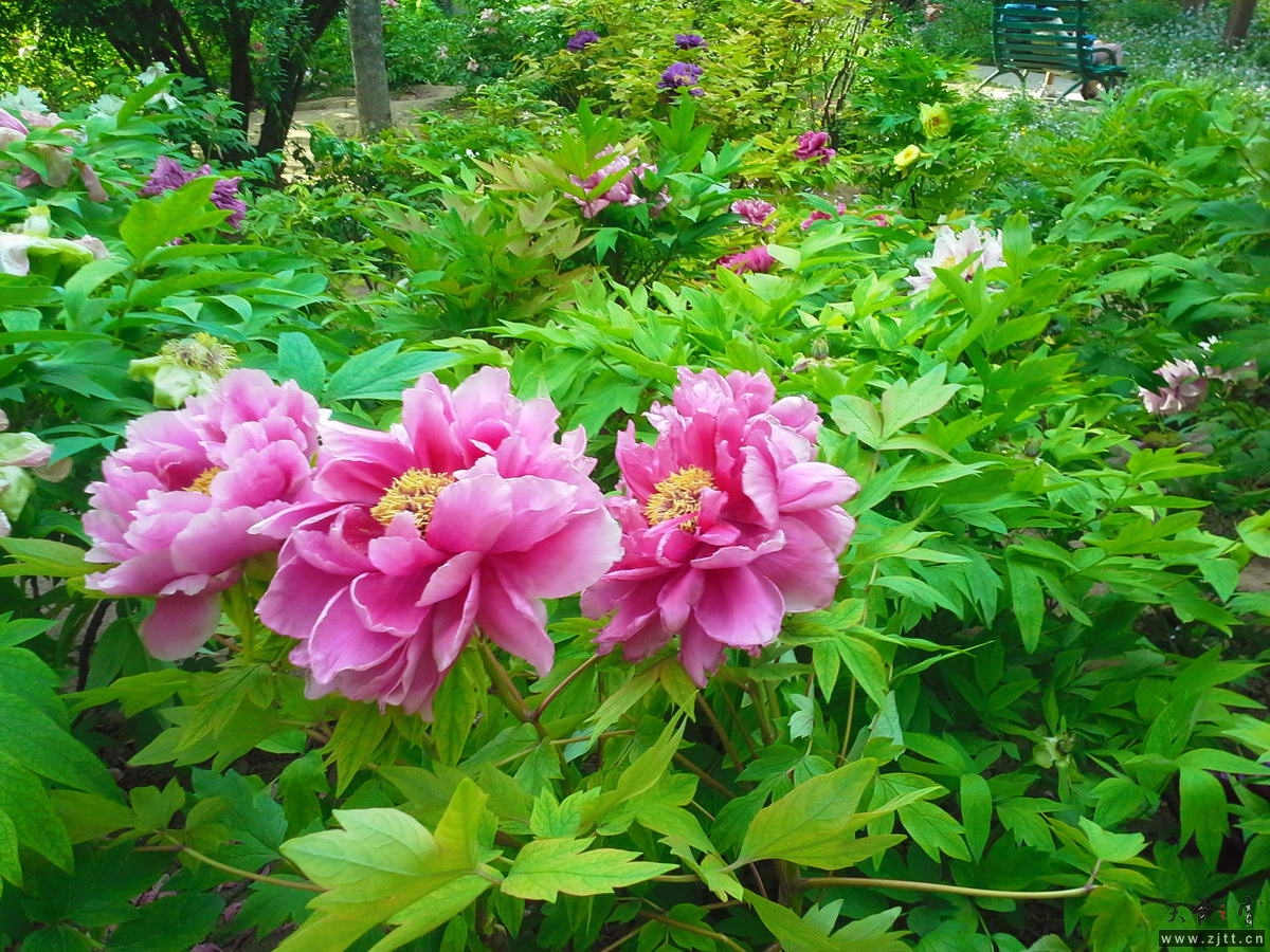 20130512_162857-1_调整大小.jpg
