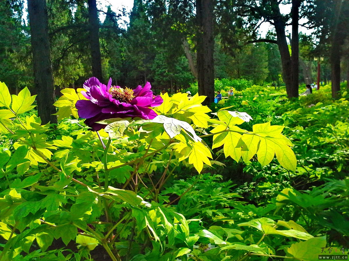 20130512_163035-1_调整大小.jpg