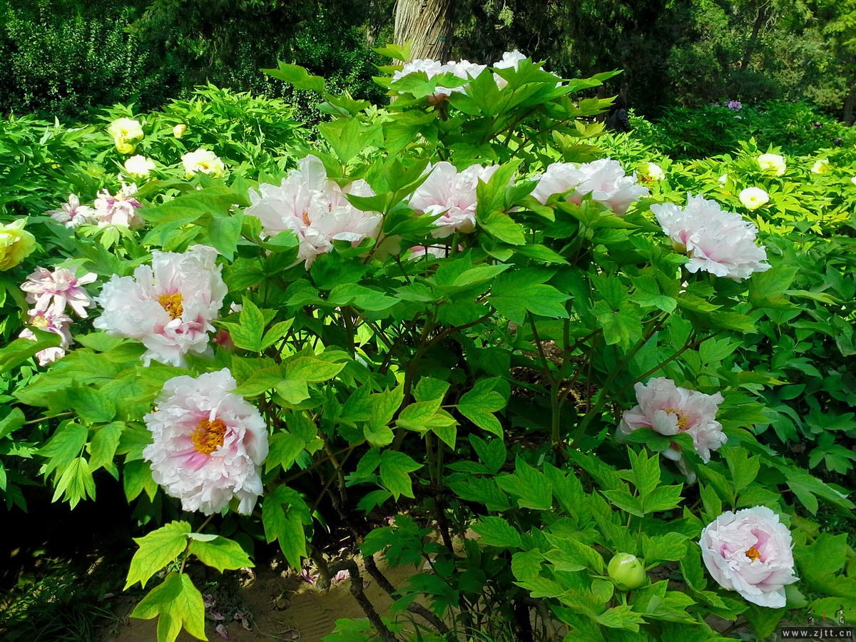 20130512_162020-1_调整大小.jpg