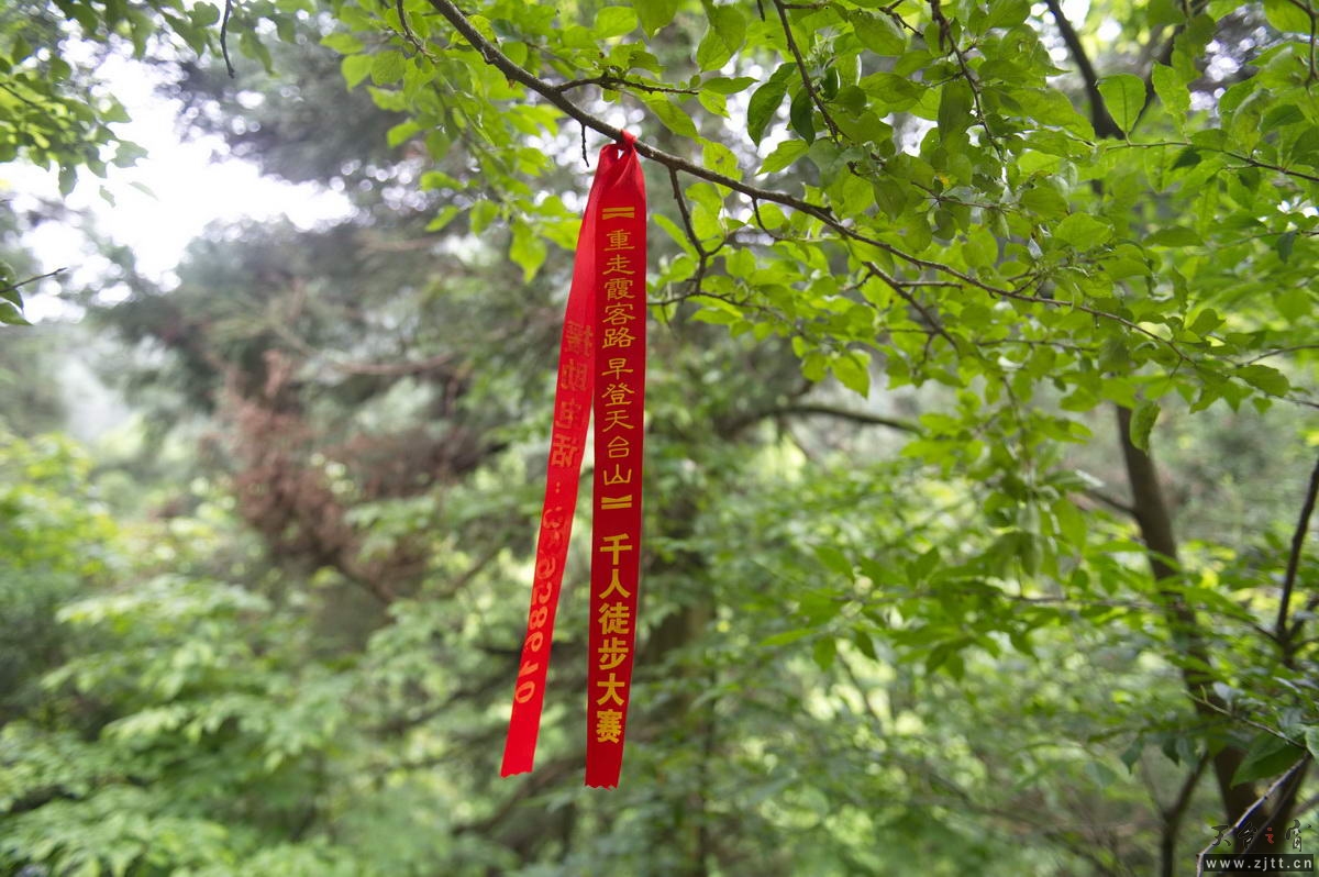 DSC_5742_调整大小.jpg
