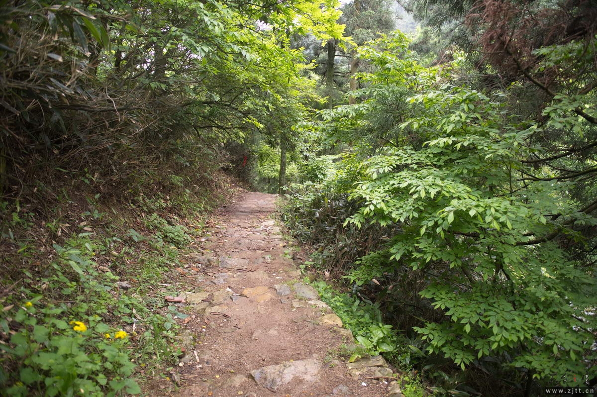DSC_5743_调整大小.jpg