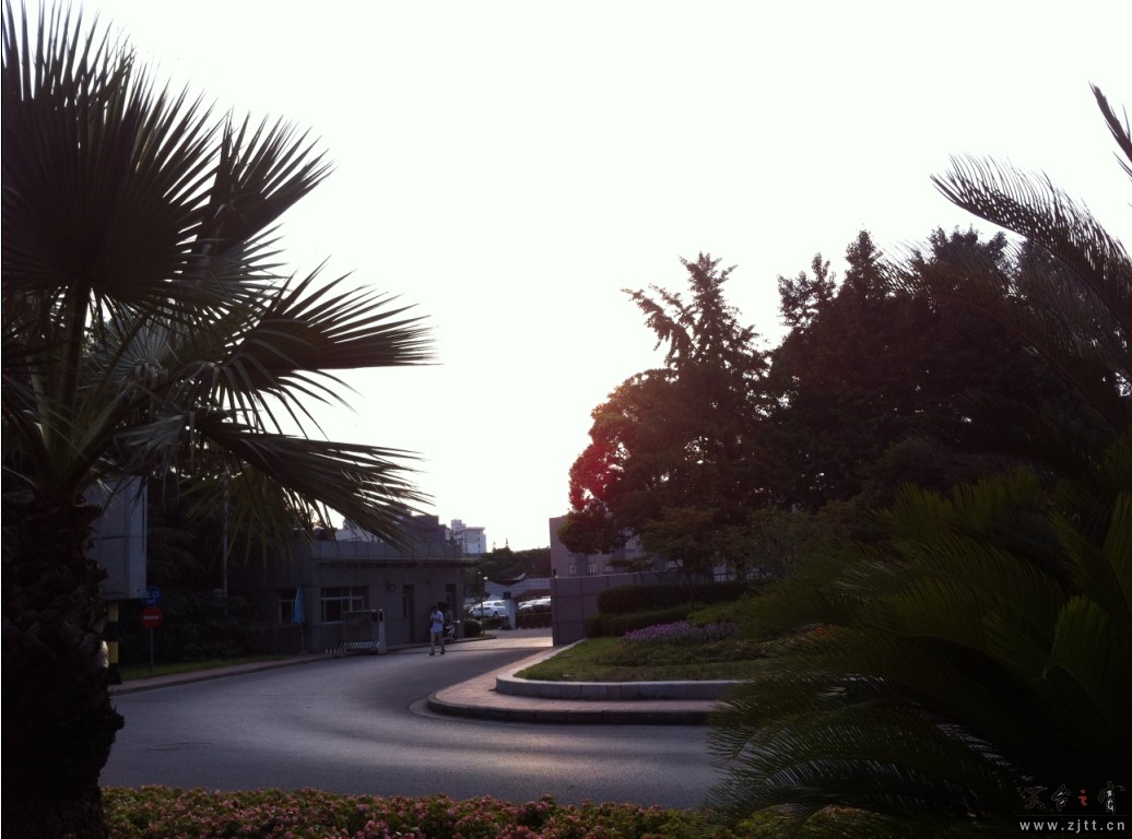 111.JPG