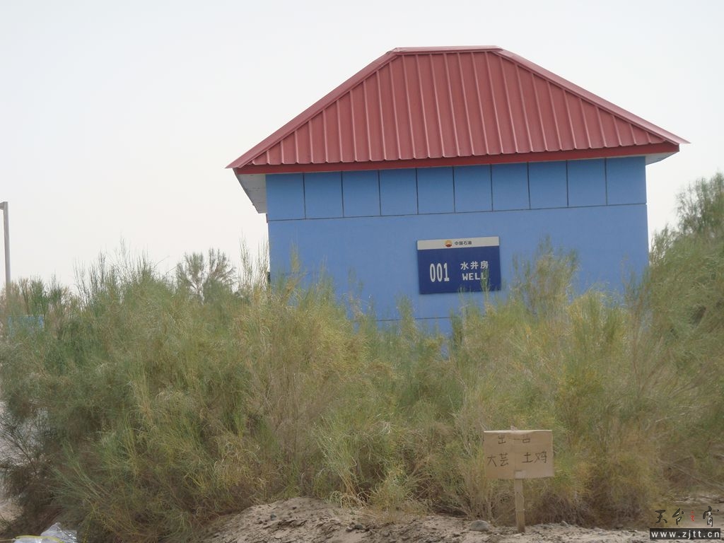 DSC04375_副本.jpg
