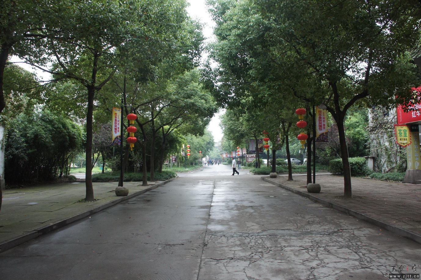 DSC04571_调整大小.jpg
