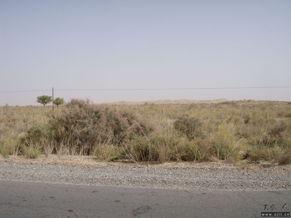 DSC04541_副本.jpg