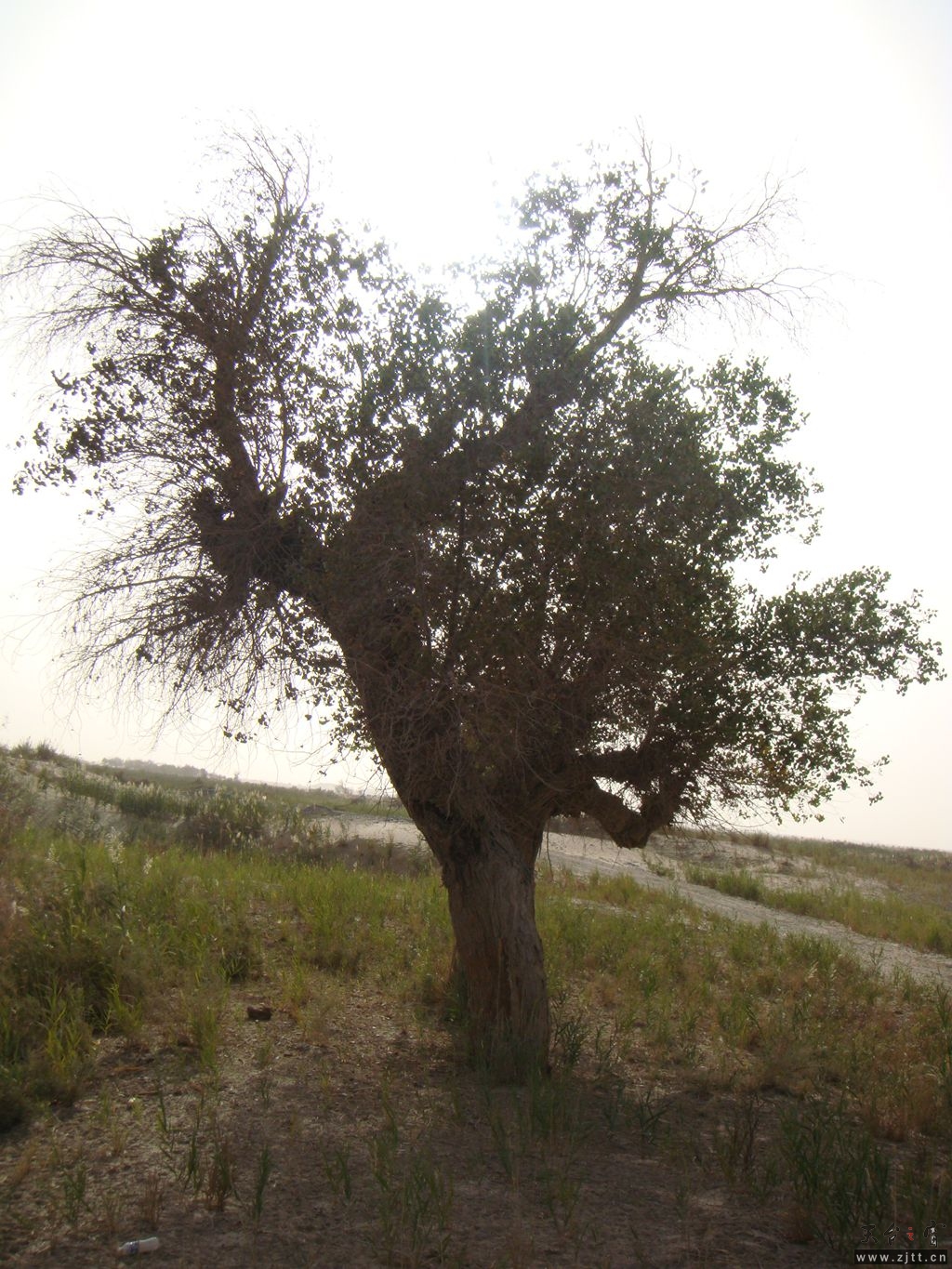 DSC04550_副本.jpg