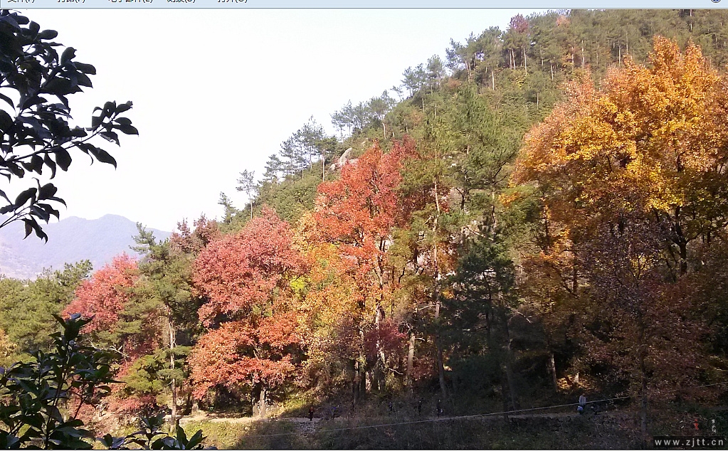 南黄古道22.jpg