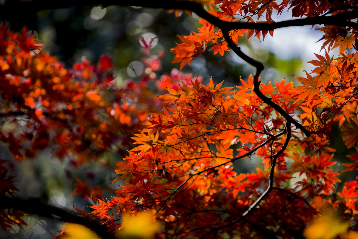 125A7117_调整大小.jpg