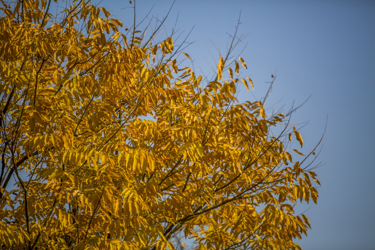 125A7339_调整大小.jpg