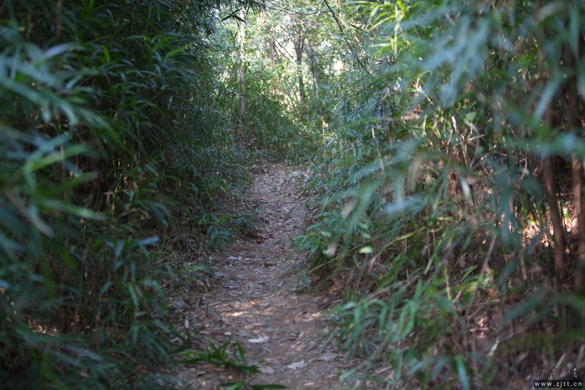 125A7964_调整大小.jpg