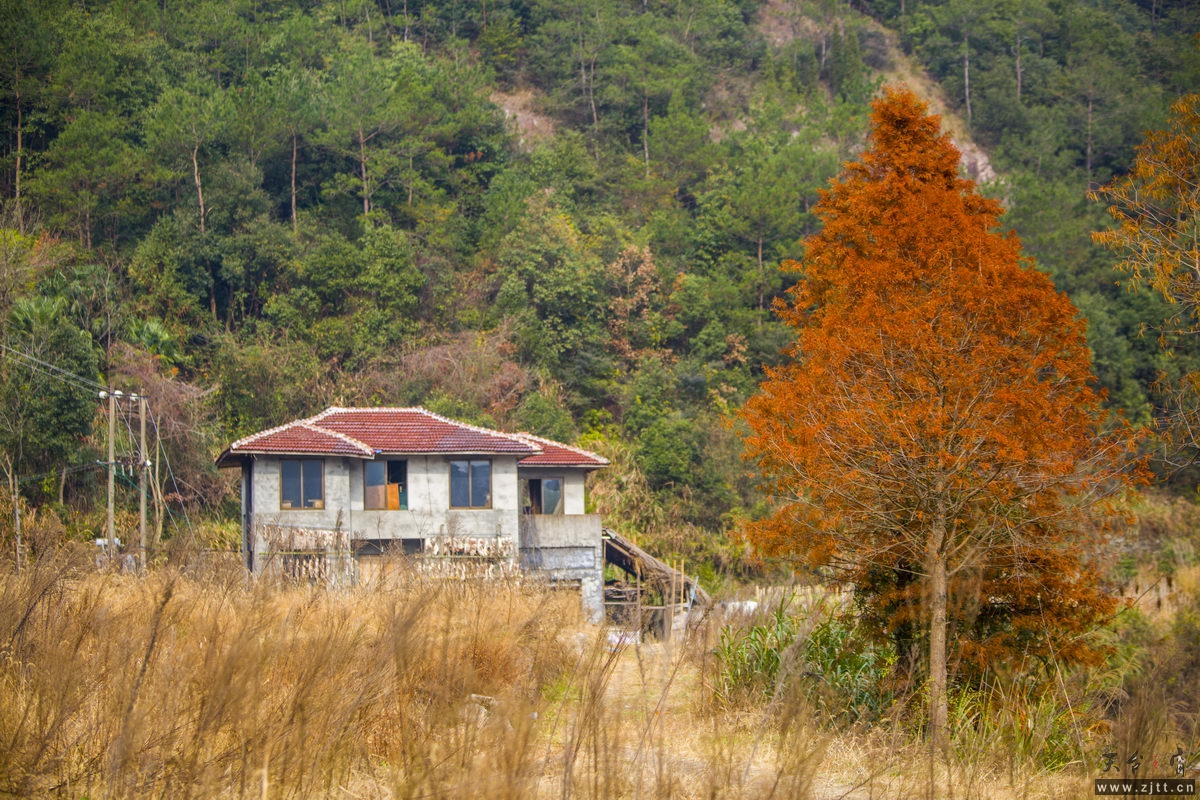 125A8126_调整大小.jpg