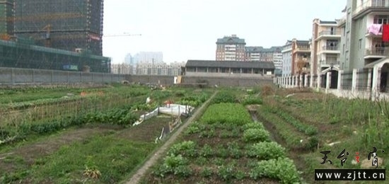 20140222094036_3360.jpg