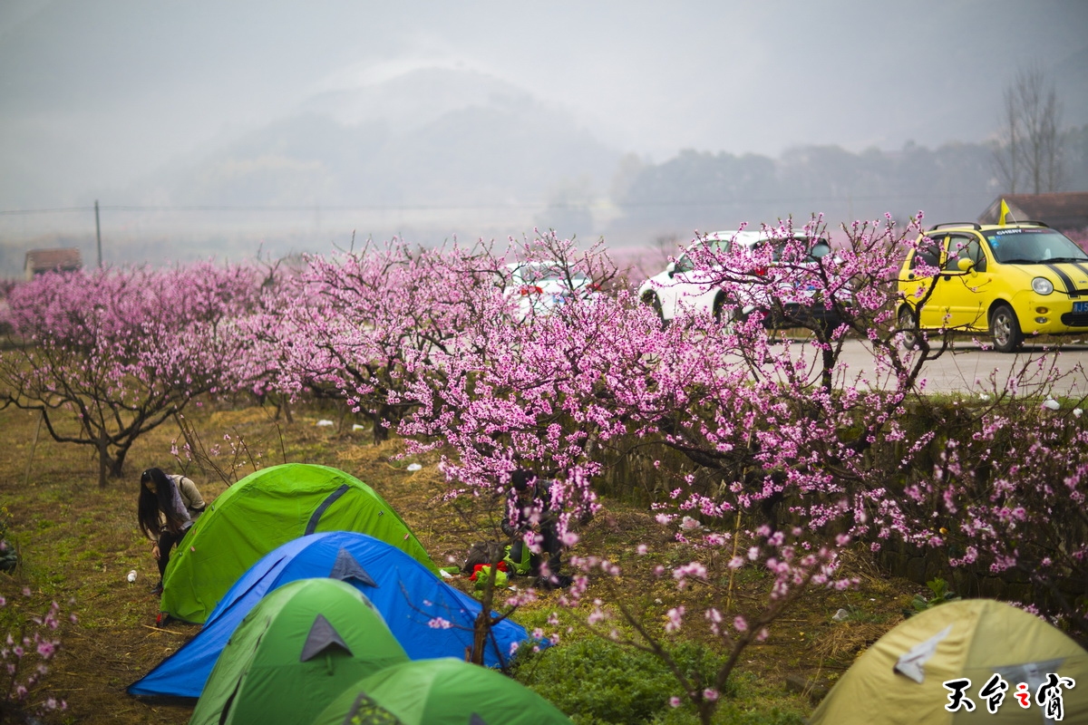 125a1638_调整大小.jpg