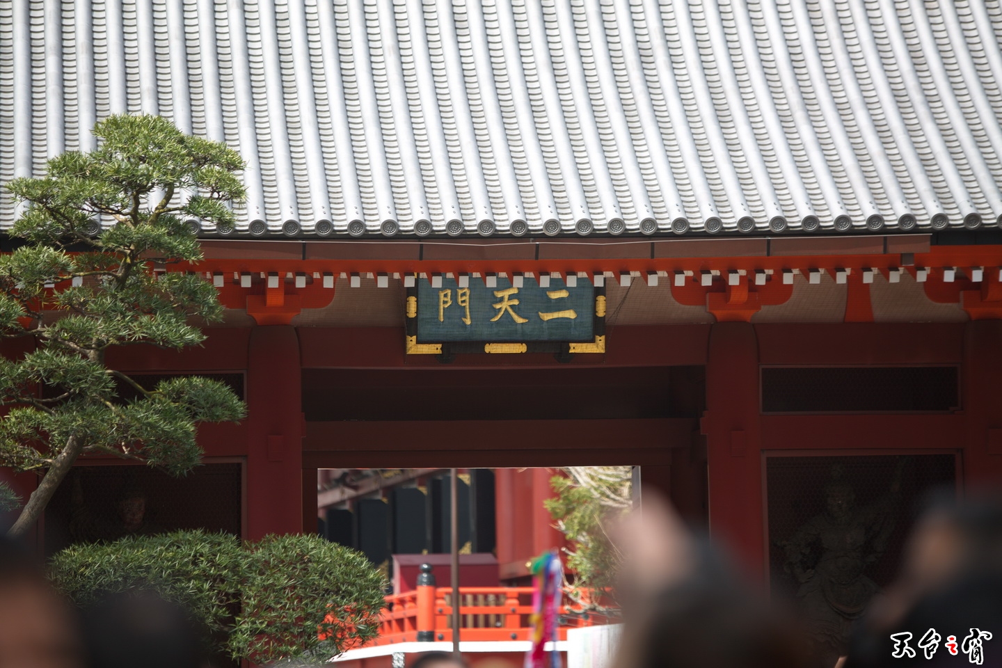 125A2950.jpg