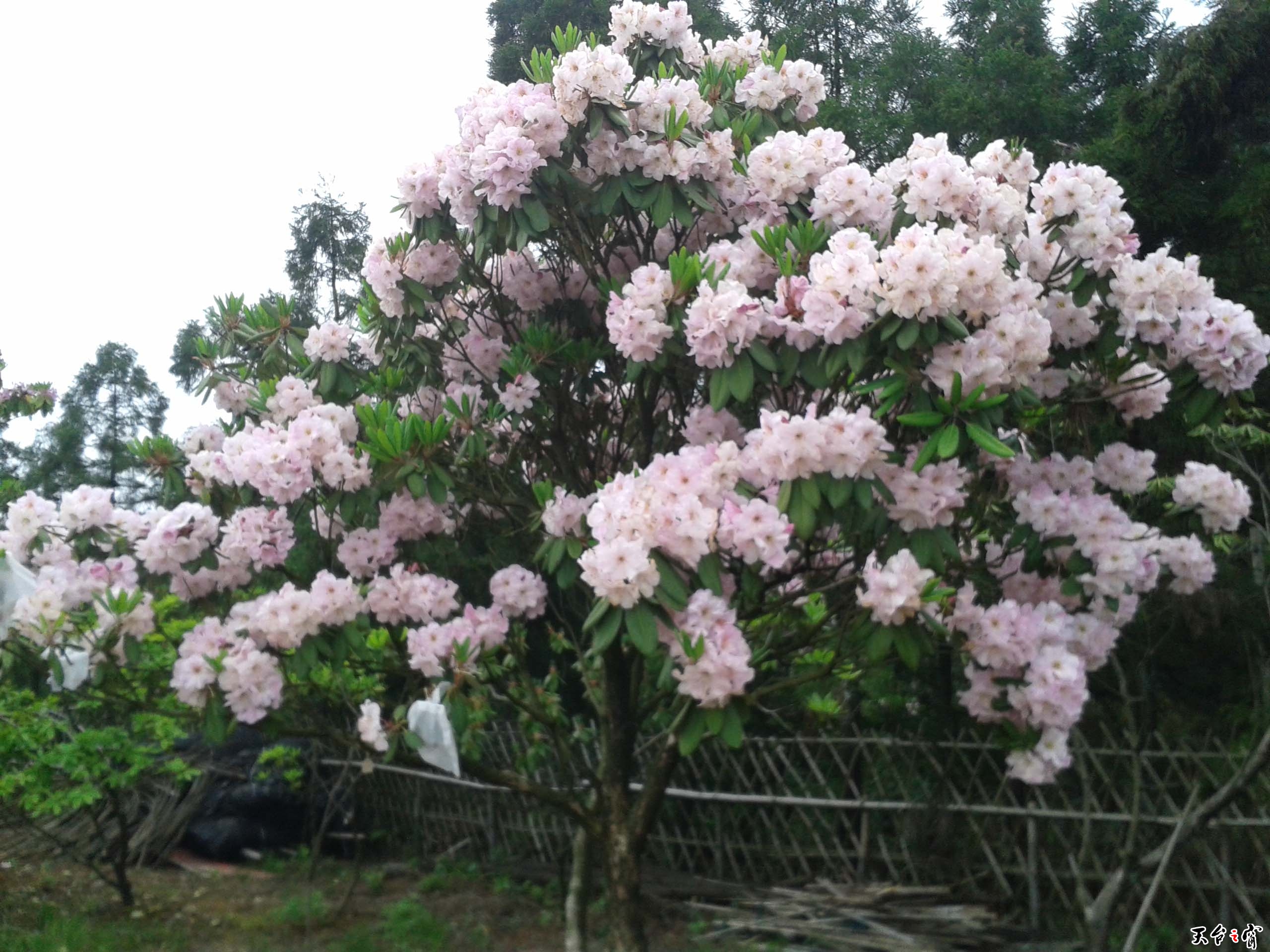 20140511_112843.jpg