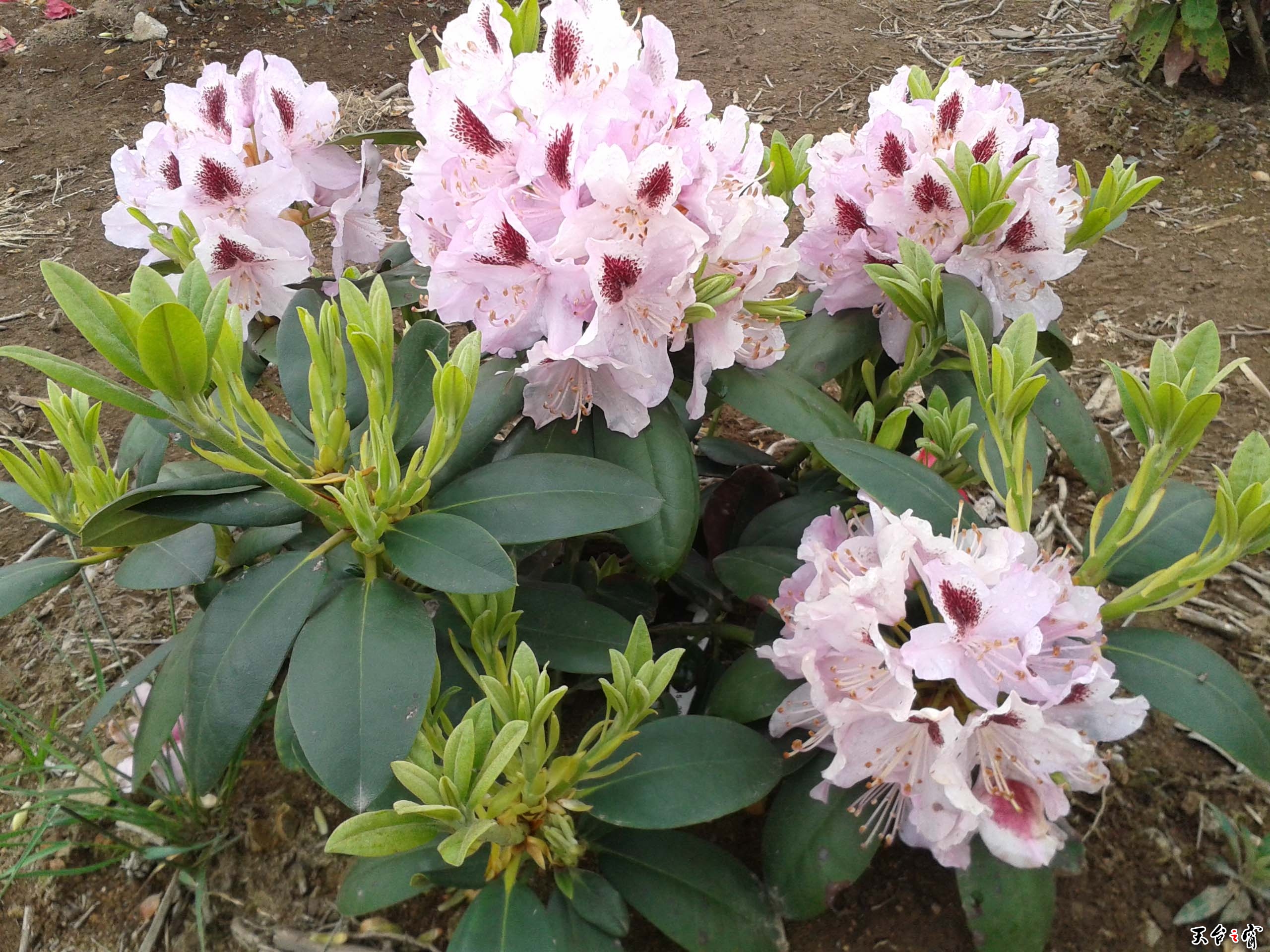 20140511_112959.jpg
