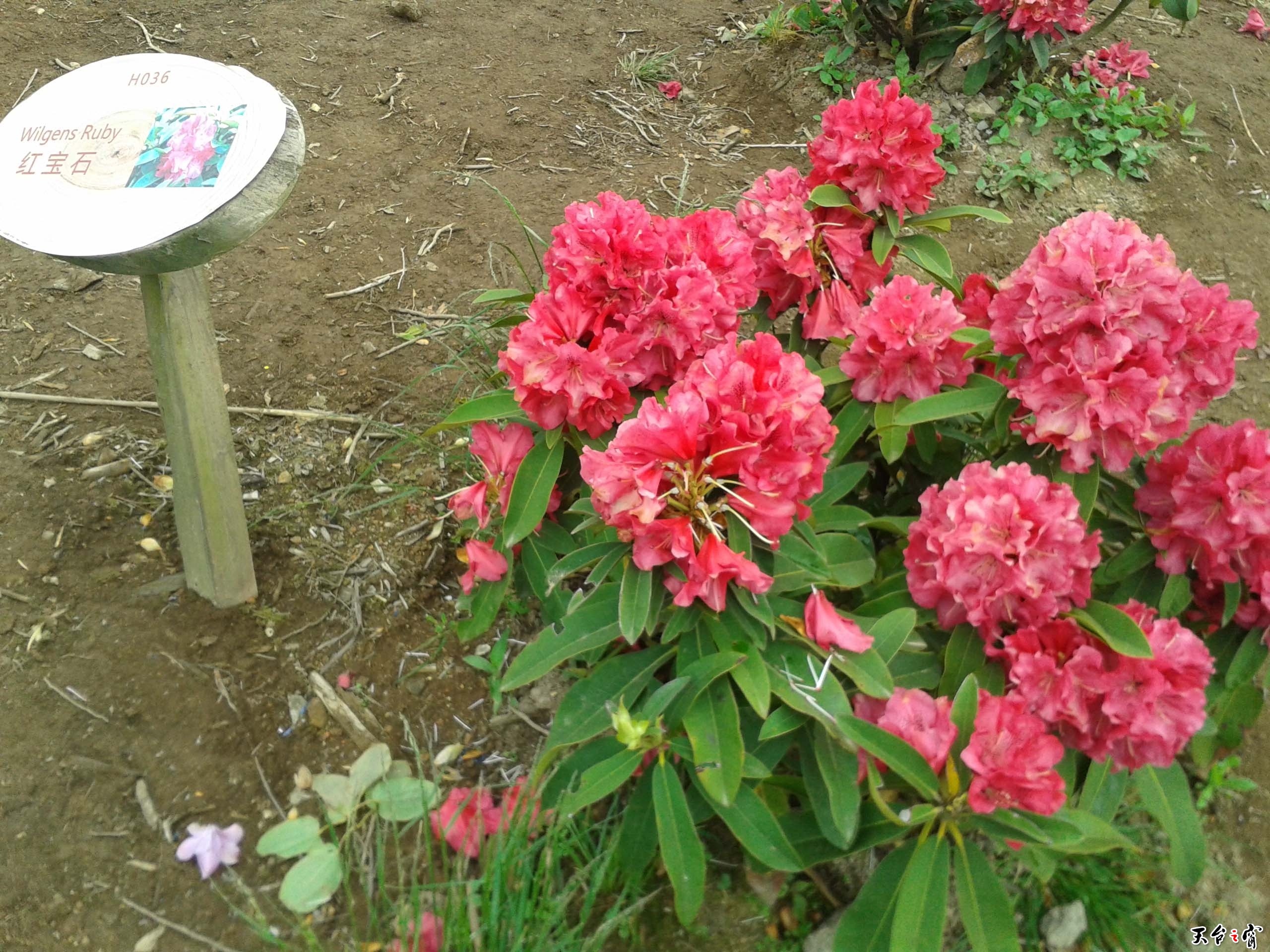 20140511_112906.jpg