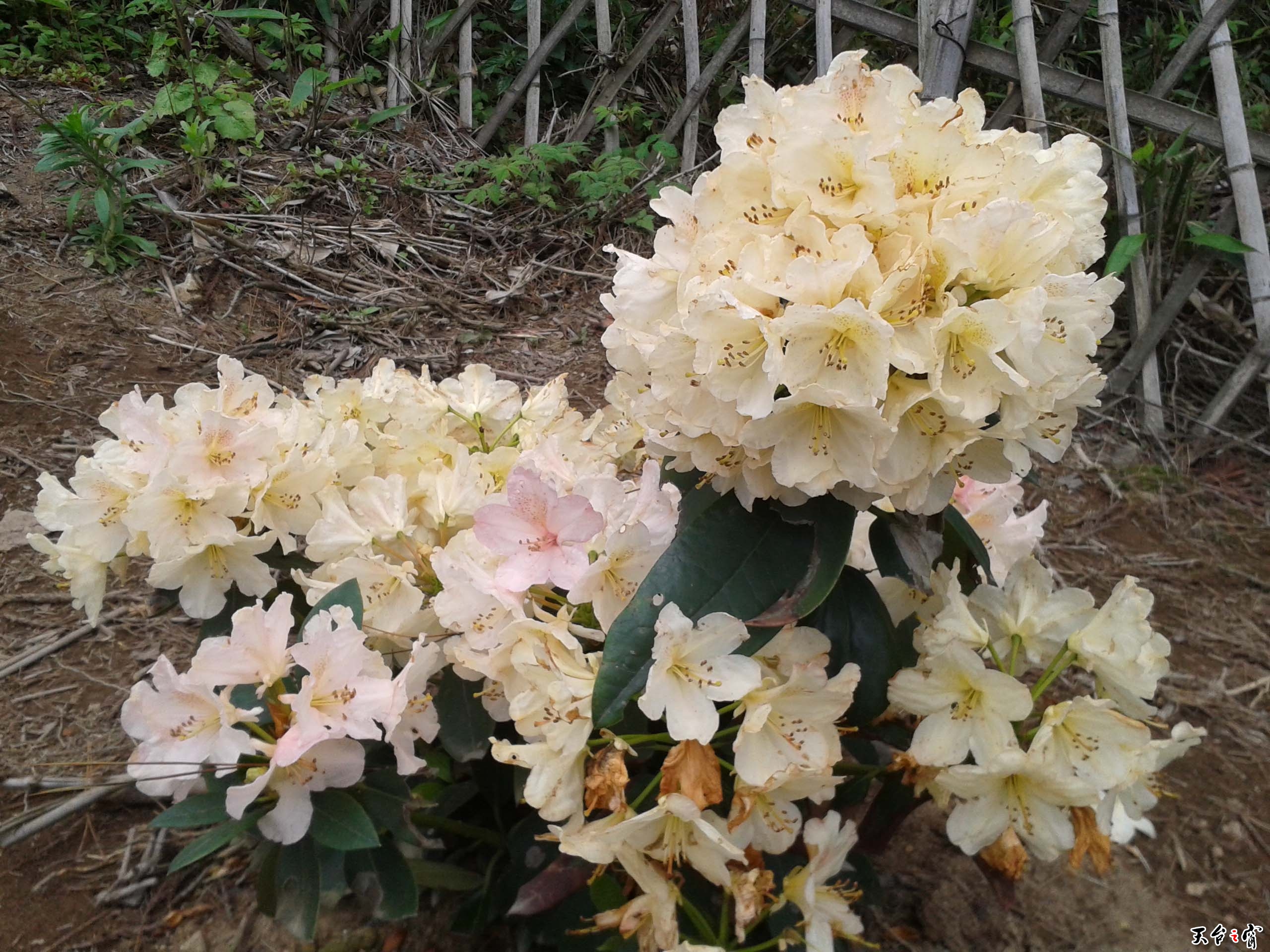 20140511_113215.jpg