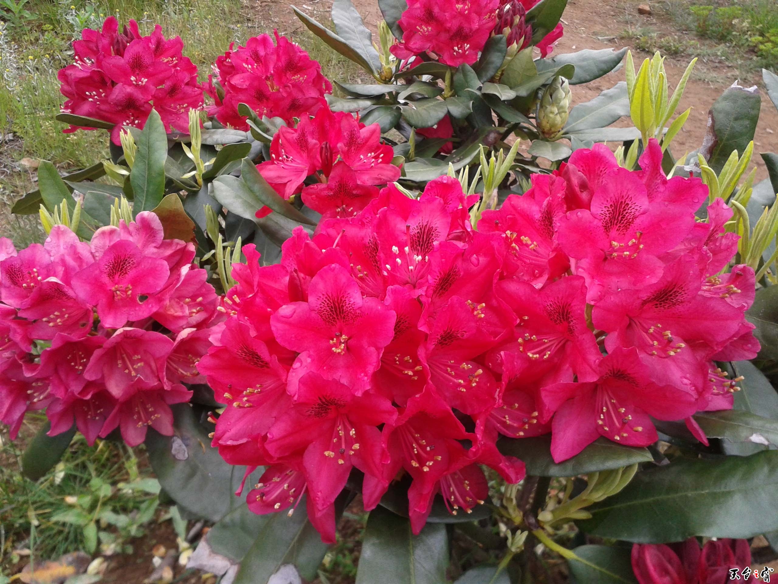 20140511_114846.jpg