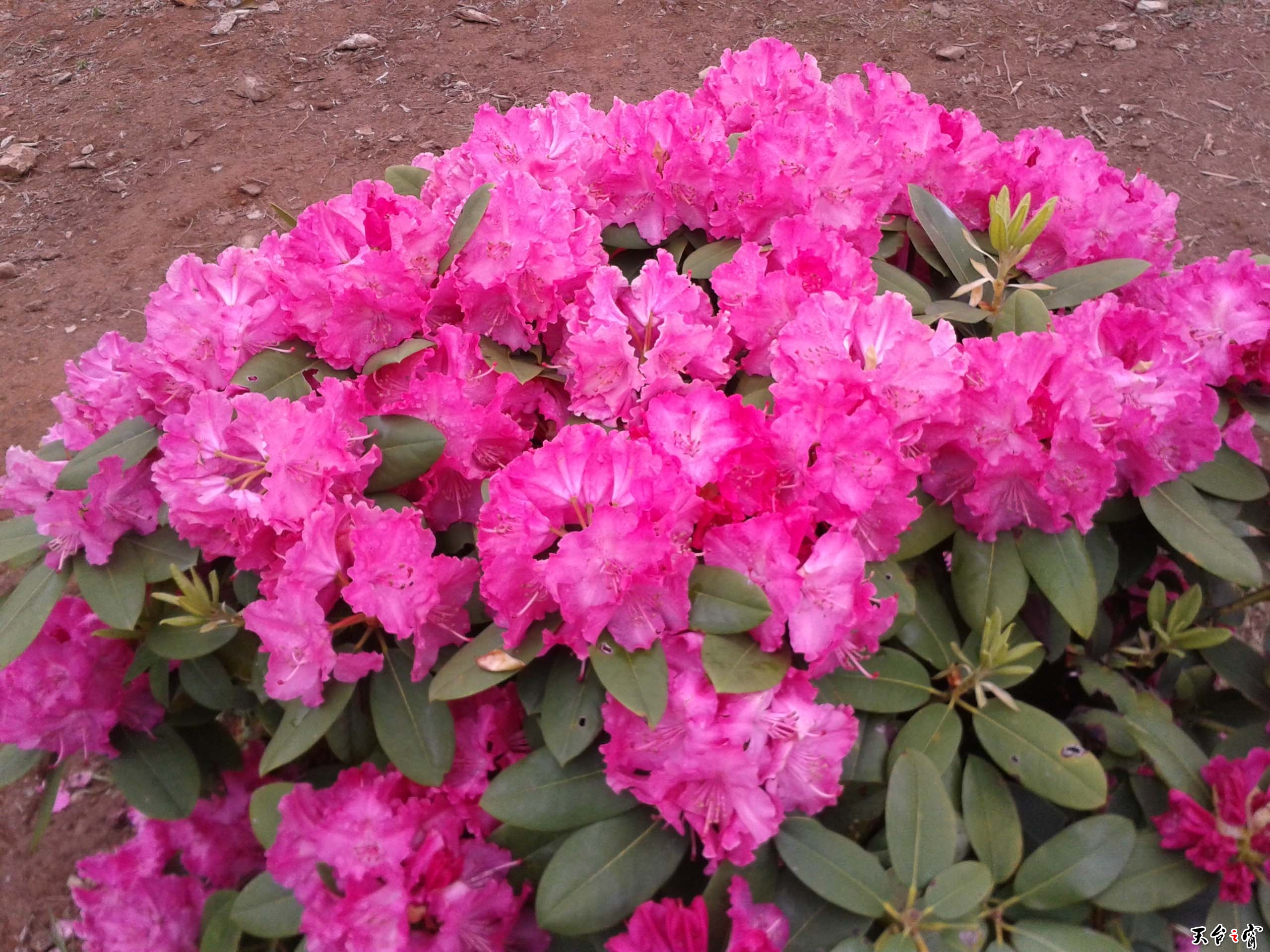 20140511_114526.jpg