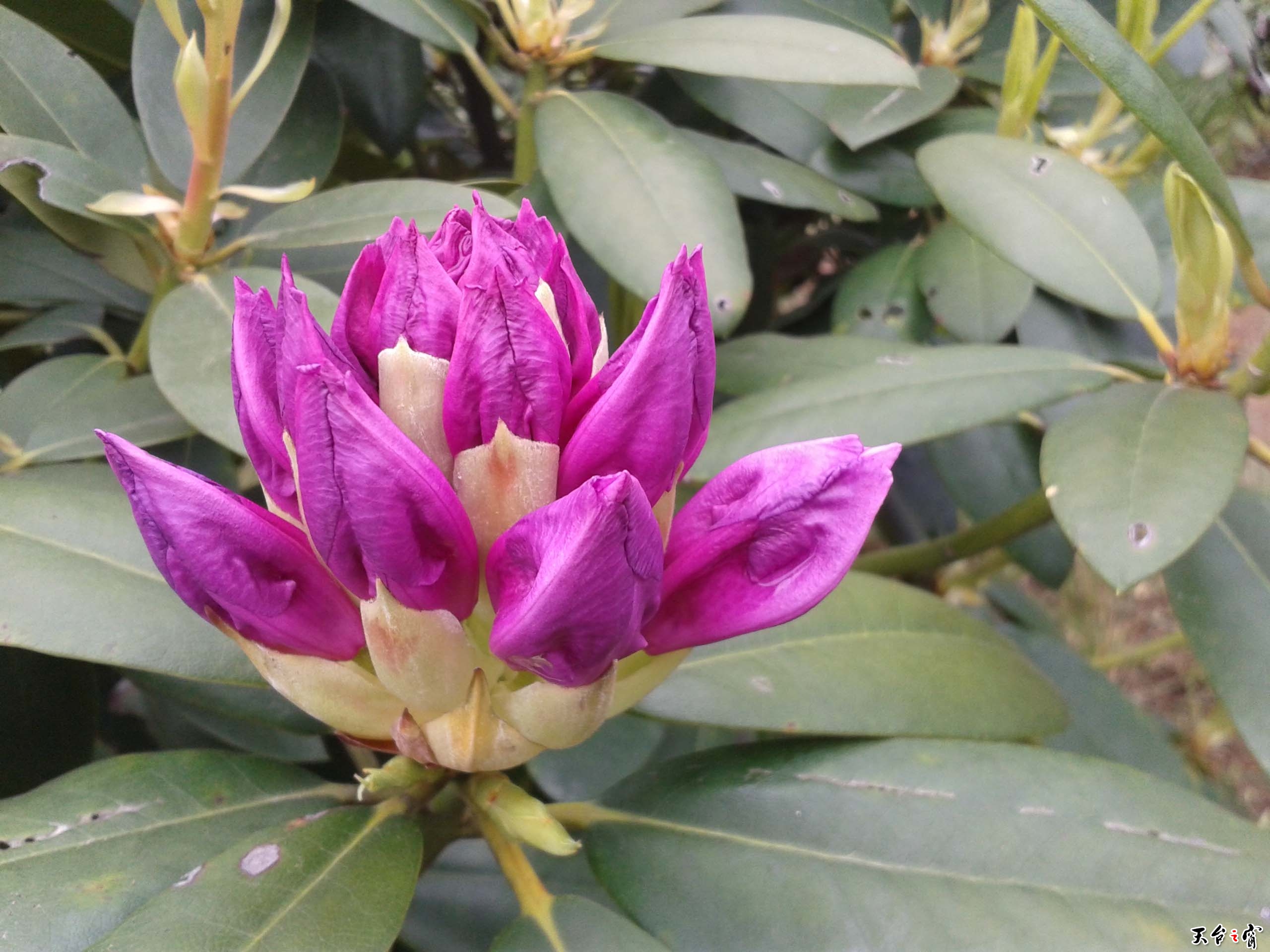 20140511_114828.jpg
