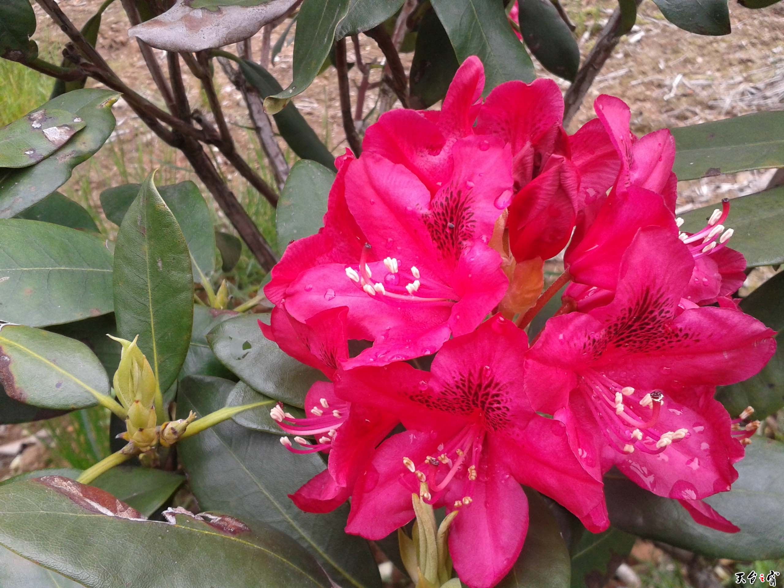 20140511_114839.jpg
