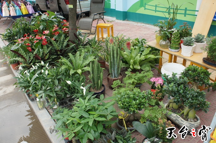 DSC00620_调整大小.JPG