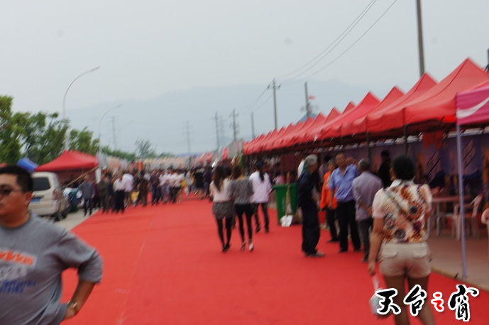 DSC00708_调整大小.JPG