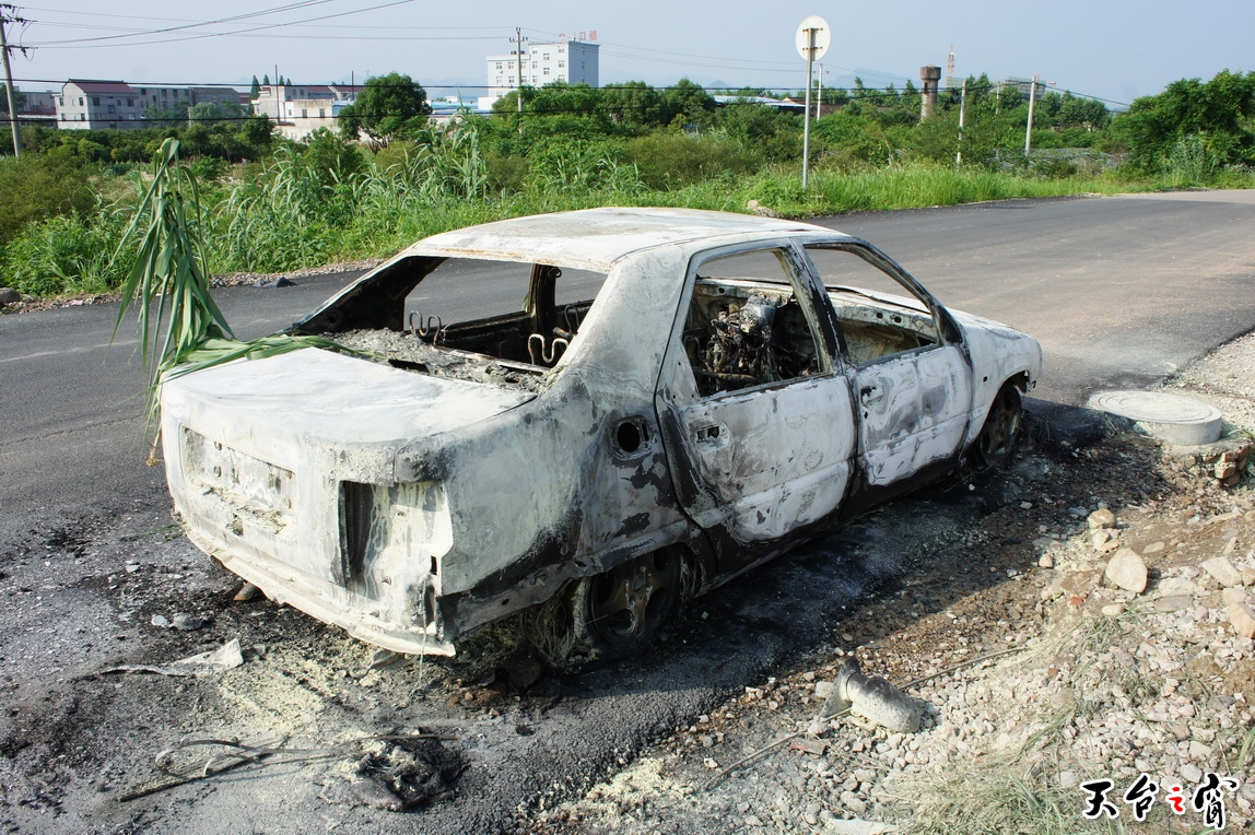 DSC01046_调整大小.JPG