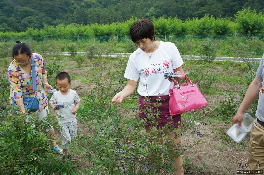 DSC01176_调整大小.JPG