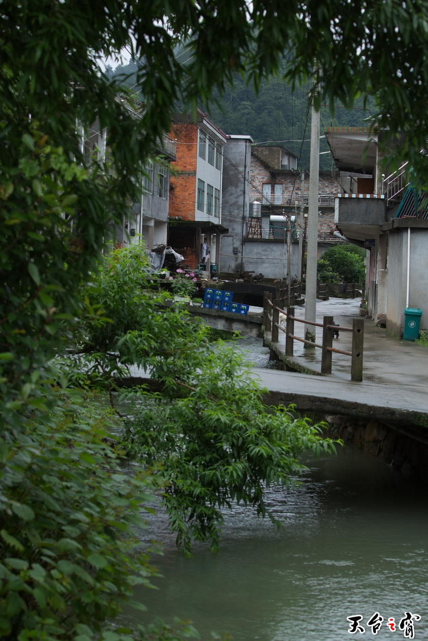 125A4544_调整大小.jpg