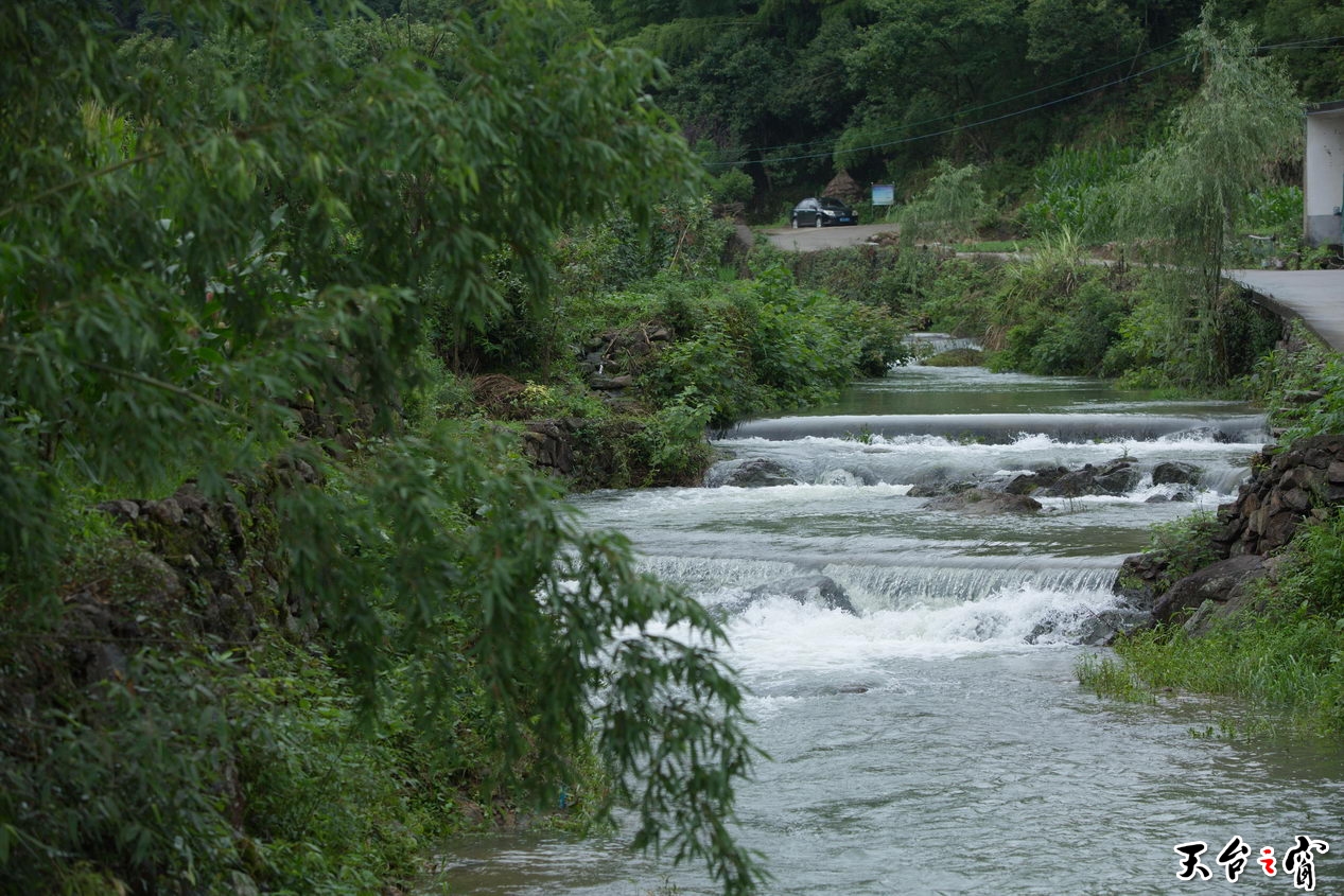 125A4550_调整大小.jpg