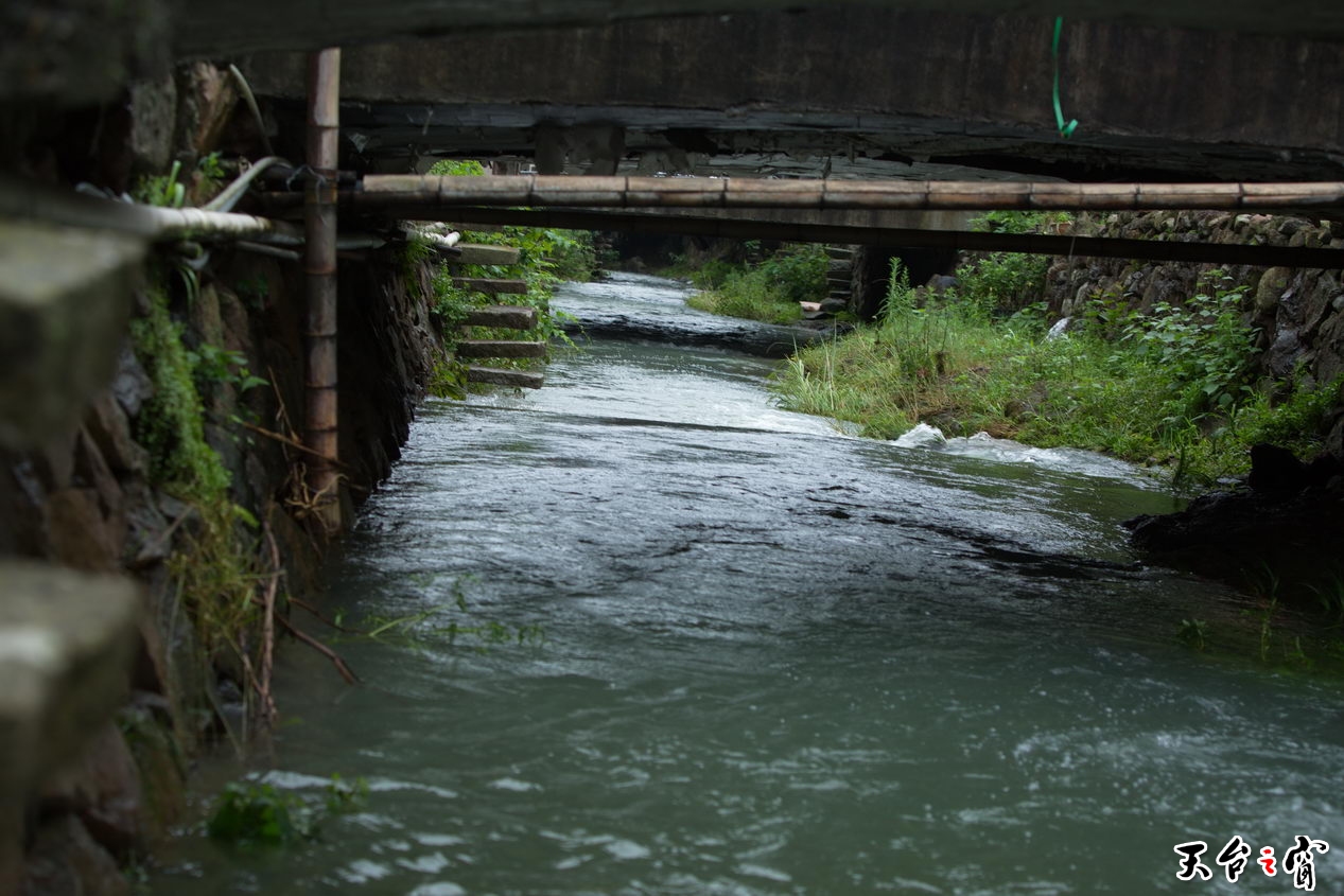 125A4554_调整大小.jpg