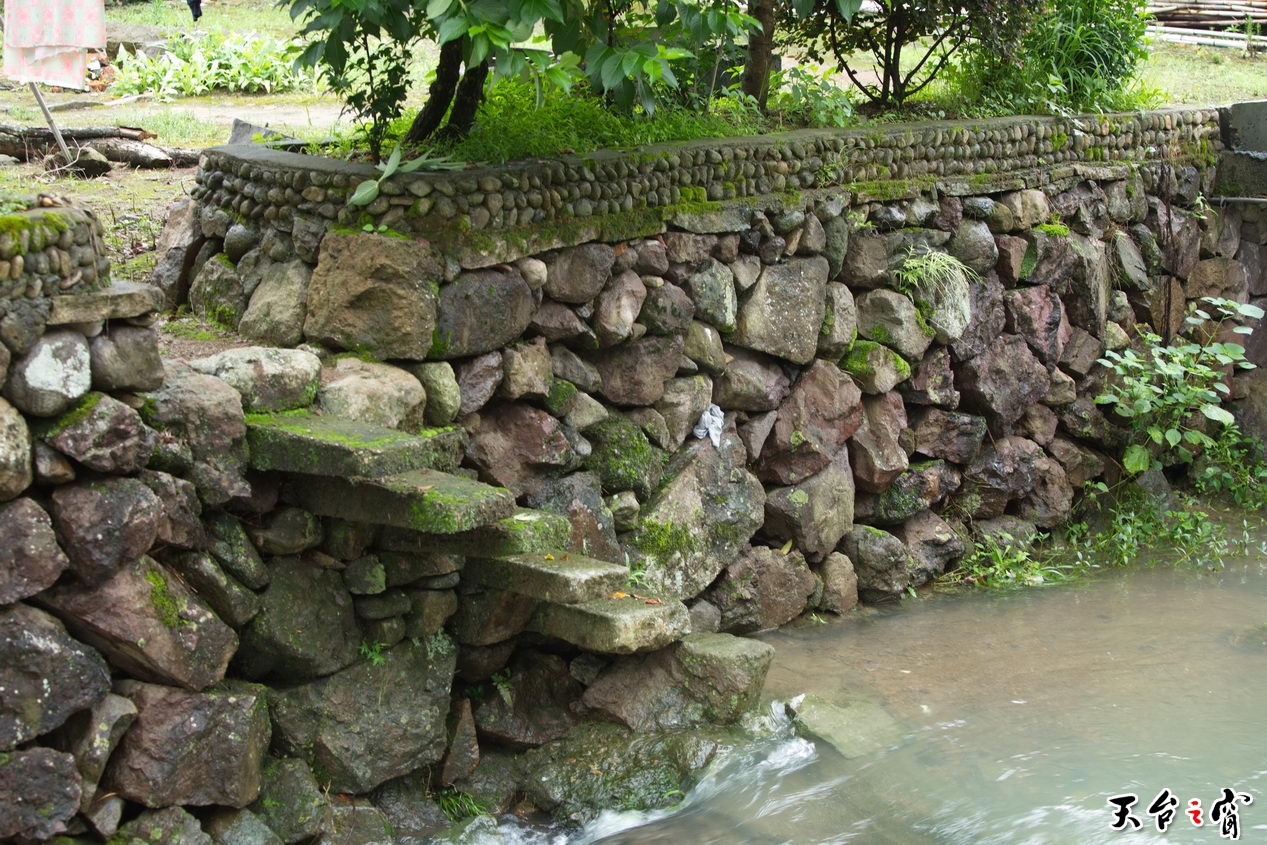 125A4556_调整大小.jpg