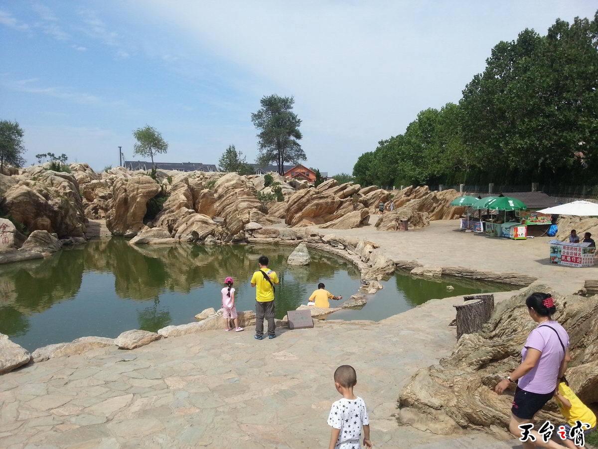 20140813_134109_调整大小.jpg