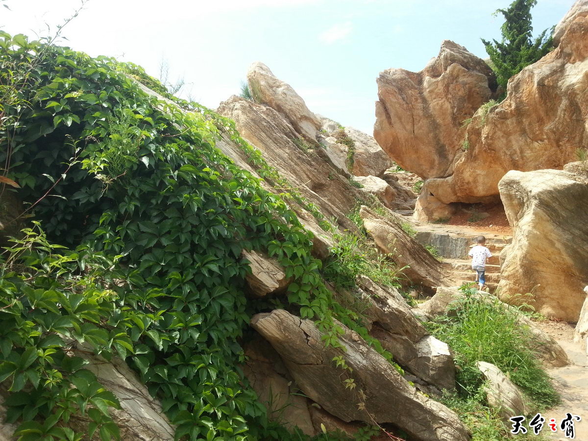 20140813_134552_调整大小.jpg