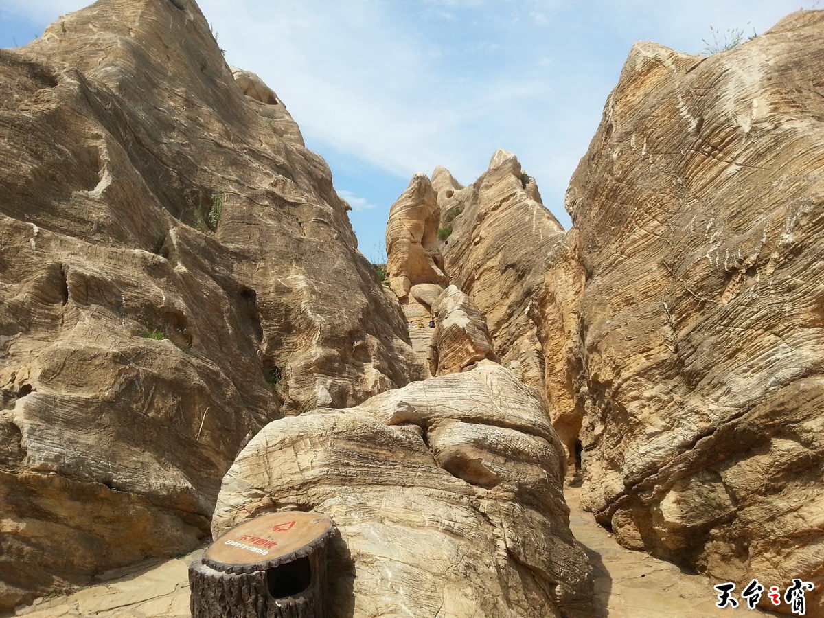 20140813_135236_调整大小.jpg