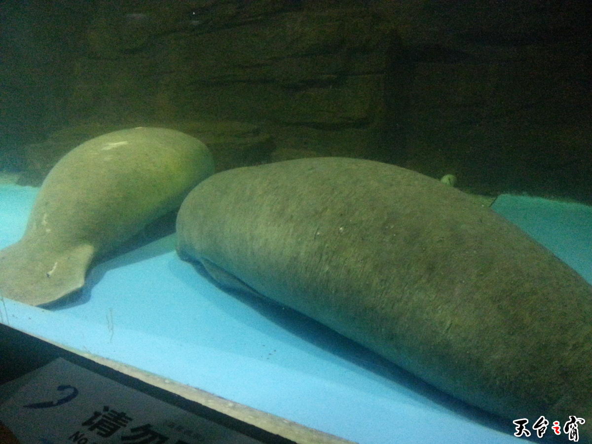 20140814_093546_调整大小.jpg