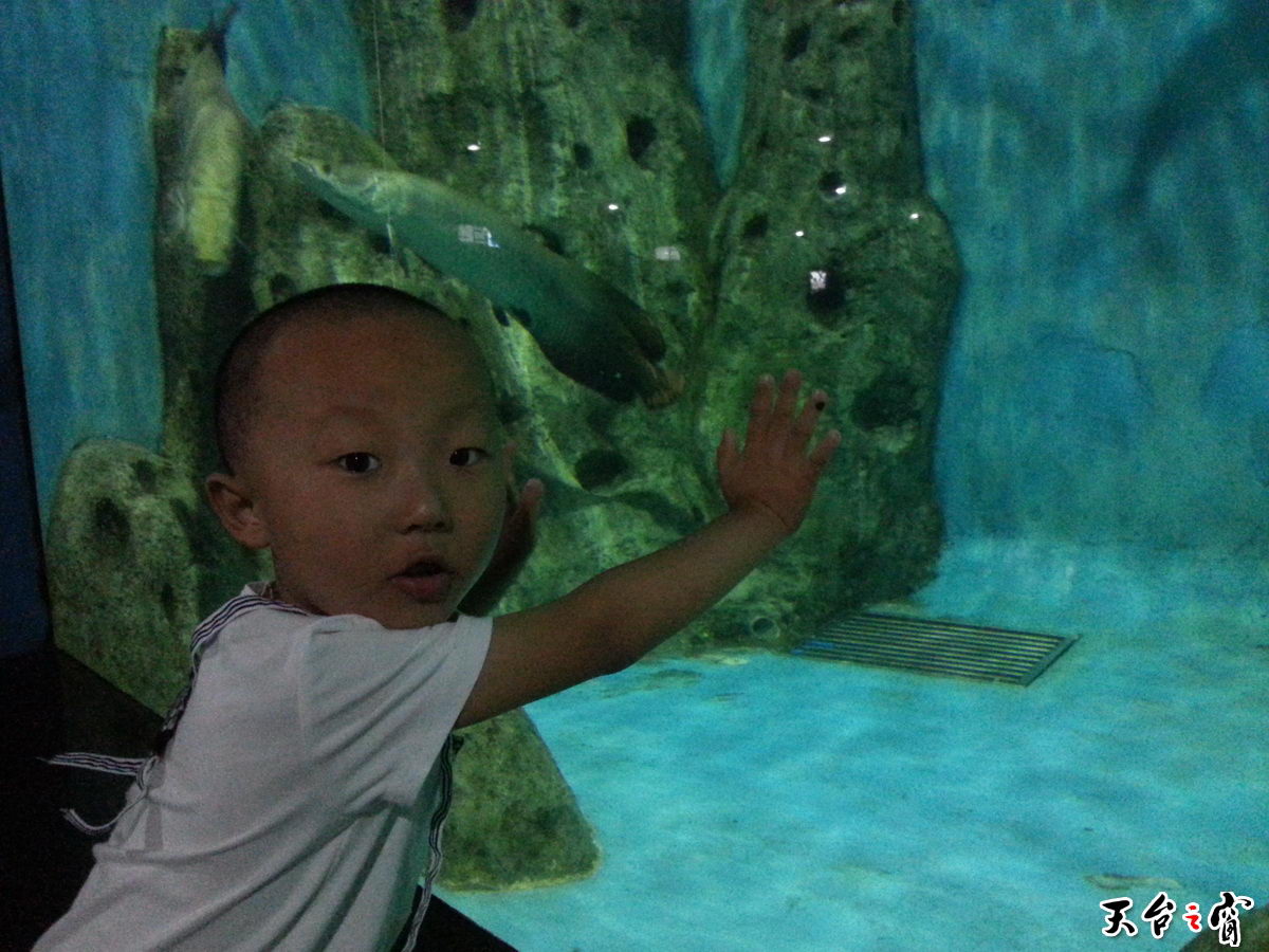 20140814_094218_调整大小.jpg