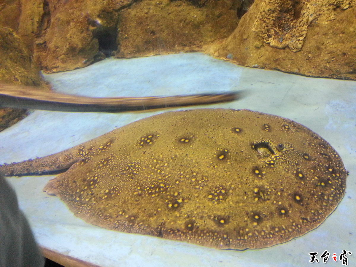 20140814_094357_调整大小.jpg