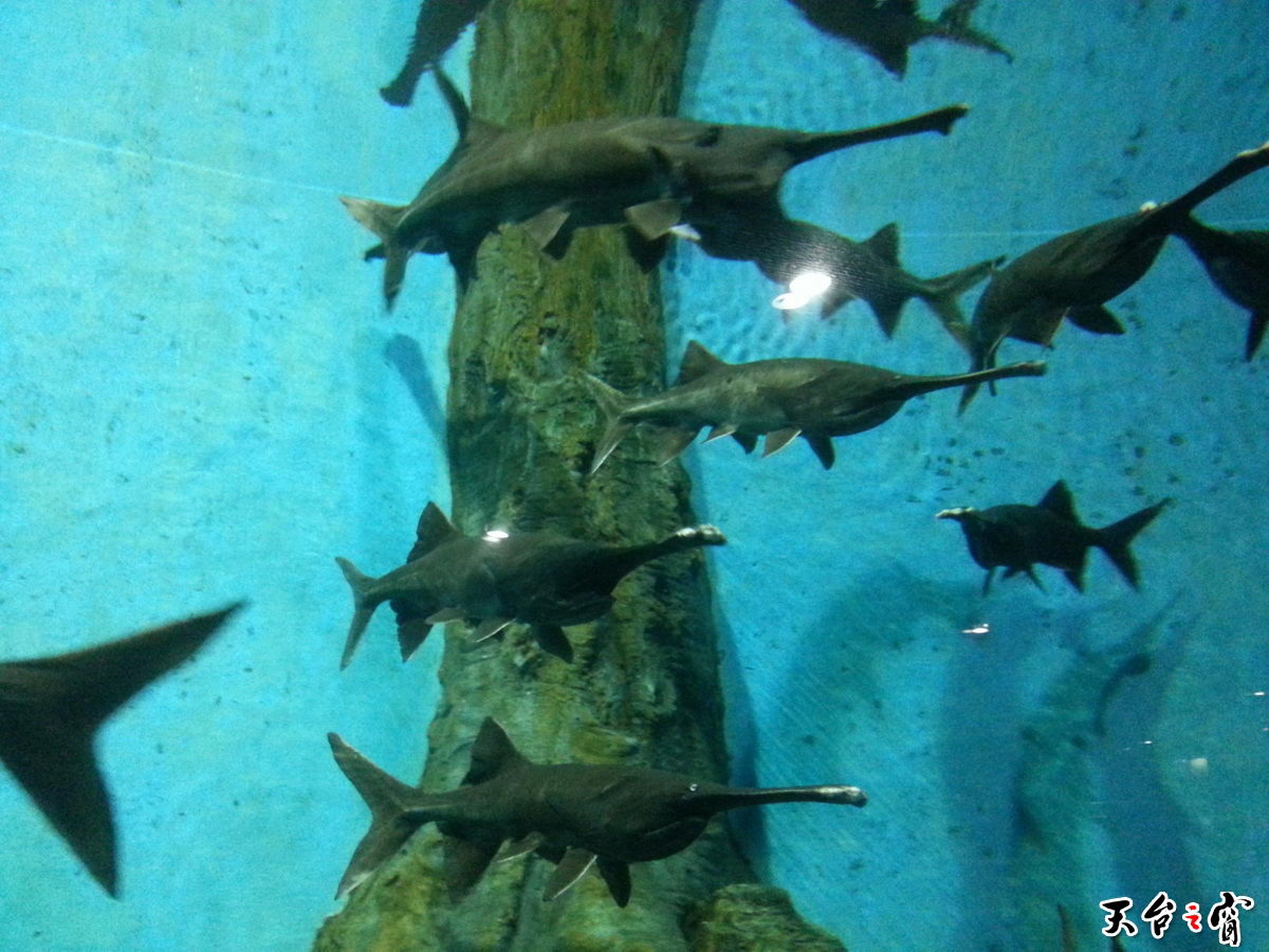 20140814_094539_调整大小.jpg