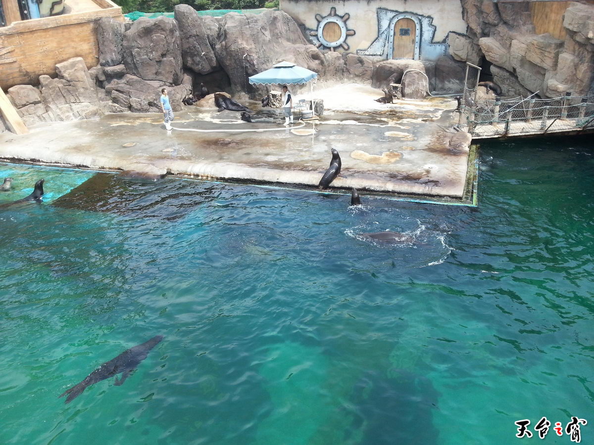 20140814_114706_调整大小.jpg