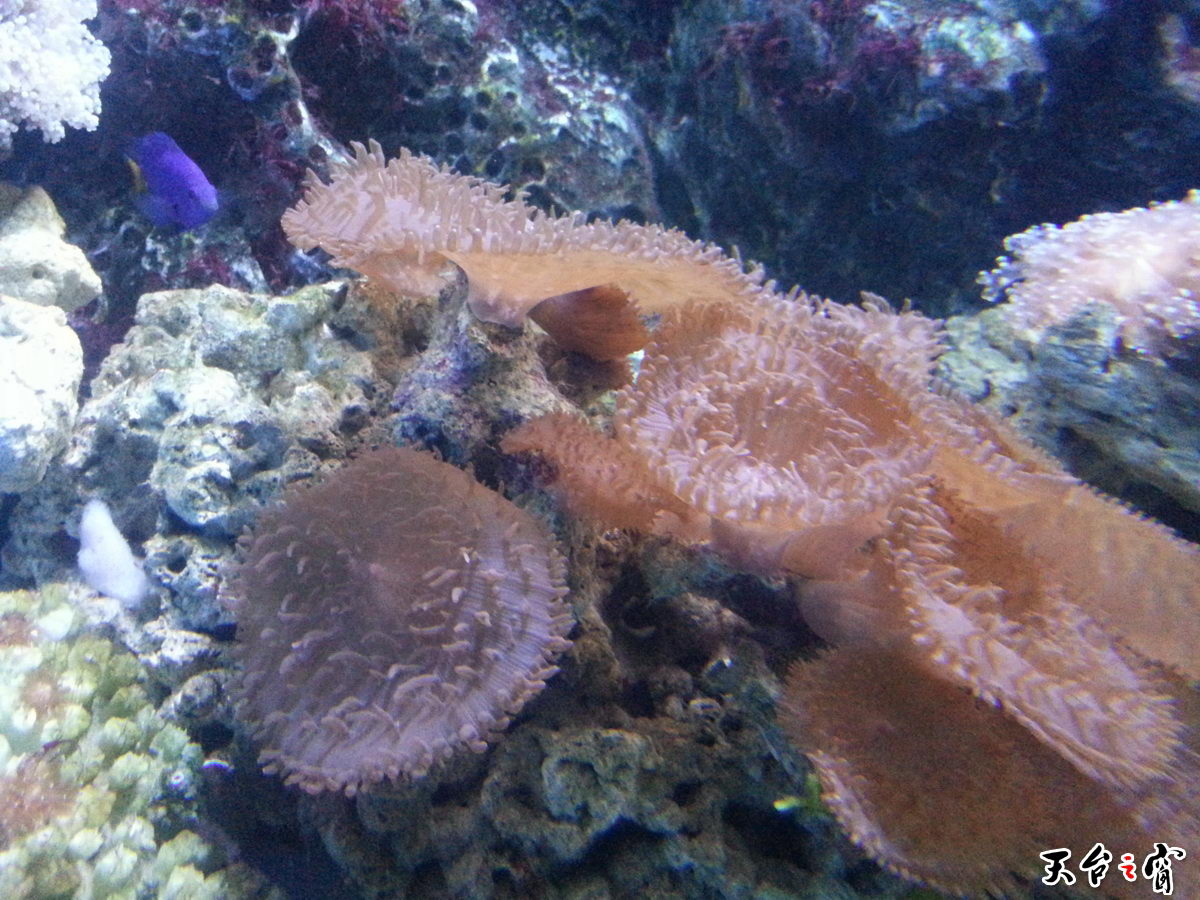 20140814_135229_调整大小.jpg