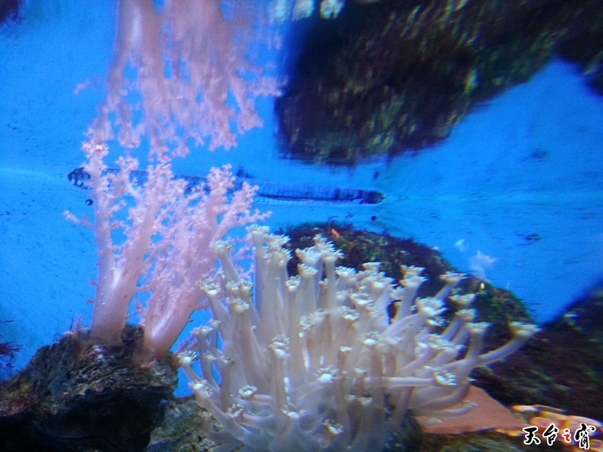 20140814_135239(0)_调整大小.jpg