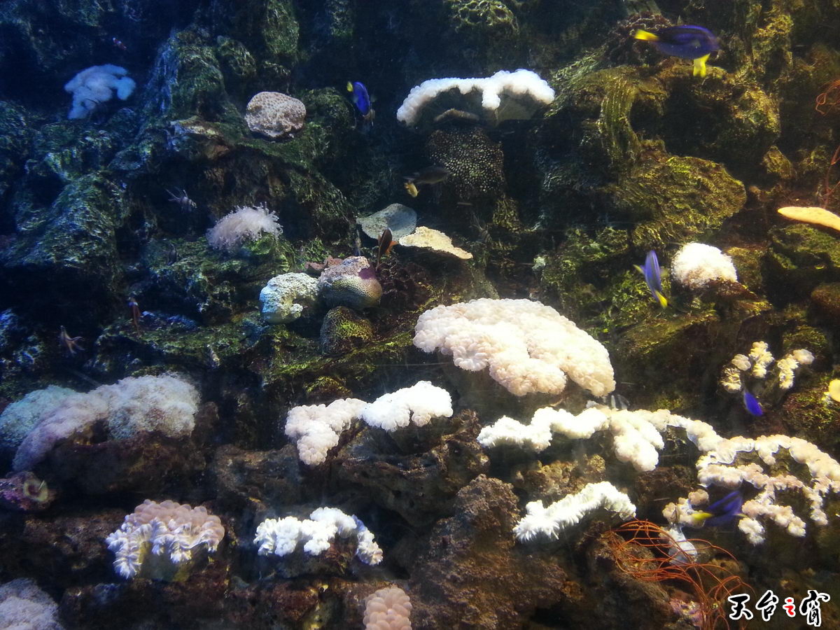 20140814_135402_调整大小.jpg