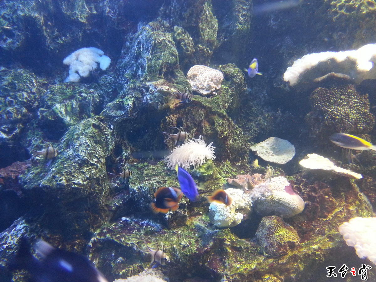 20140814_135443_调整大小.jpg
