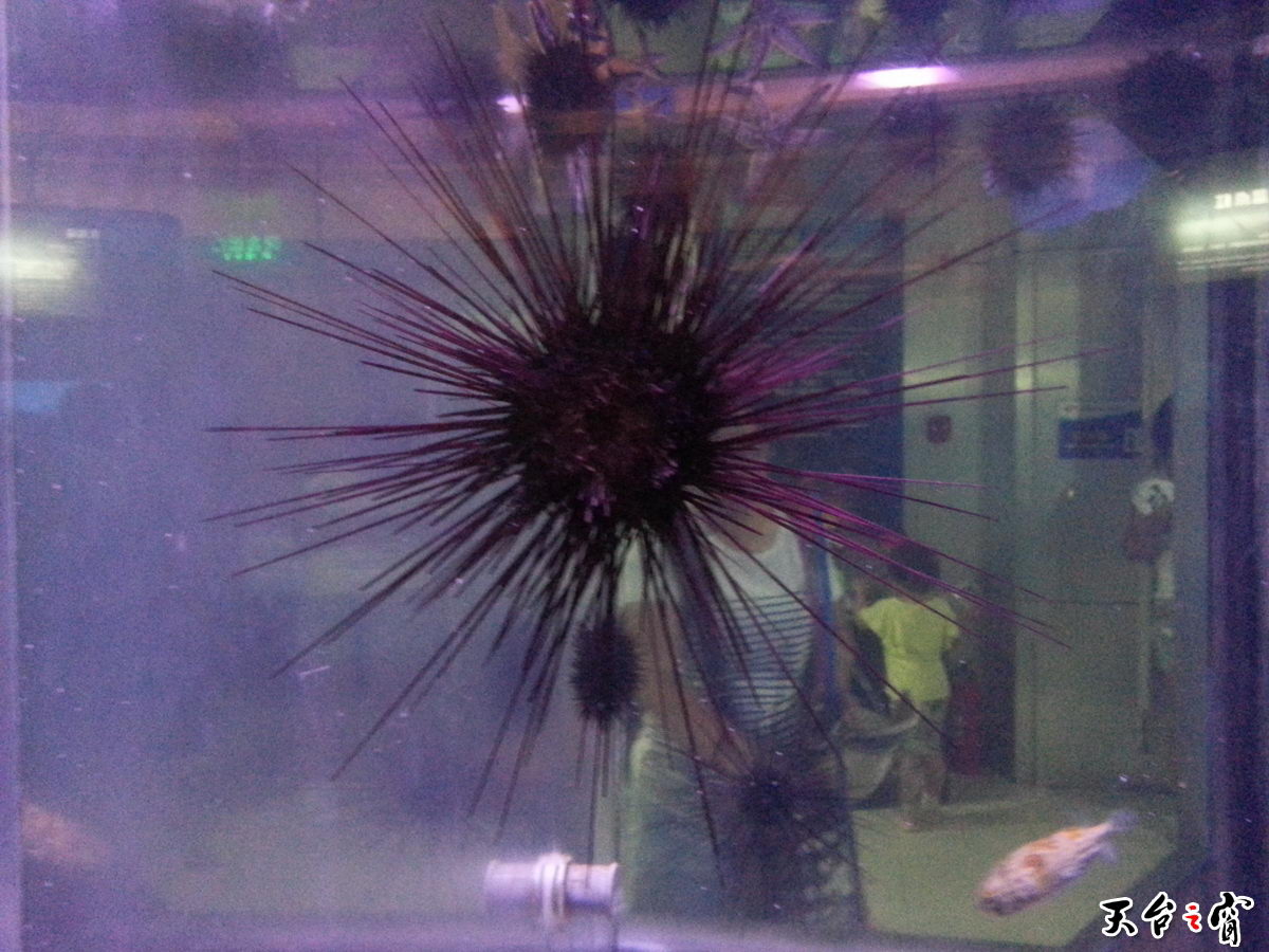 20140814_141239_调整大小.jpg