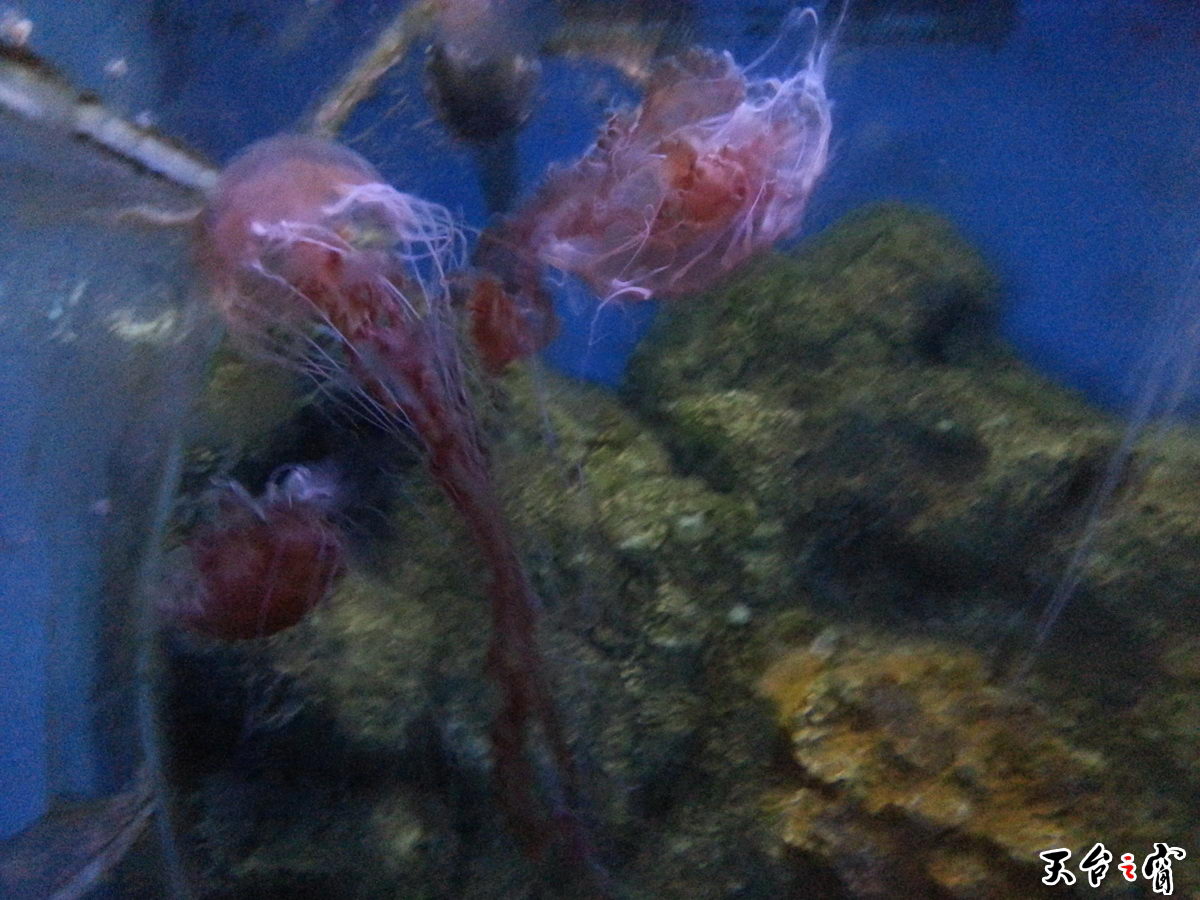 20140814_141333_调整大小.jpg