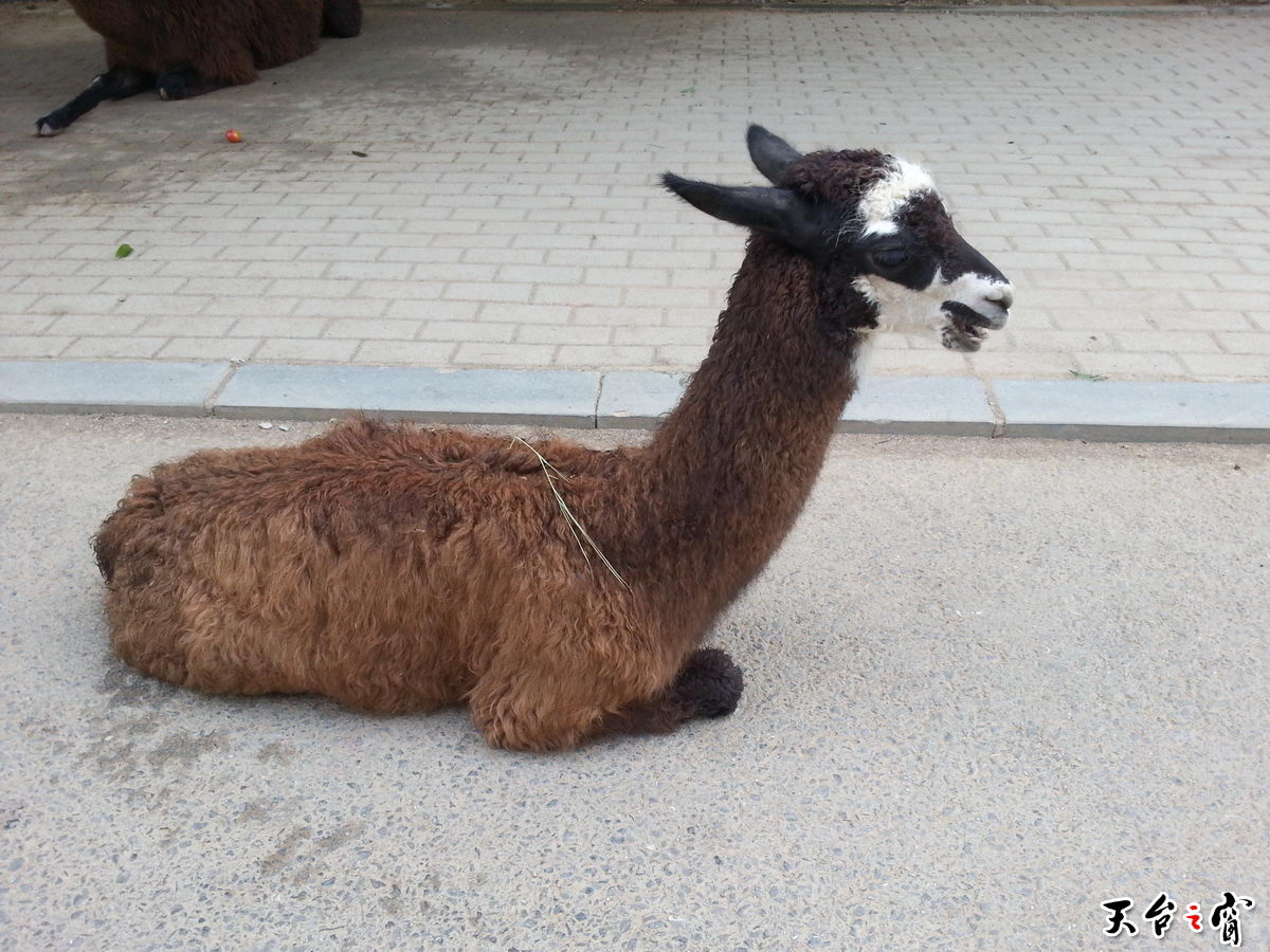 20140815_091431_调整大小.jpg