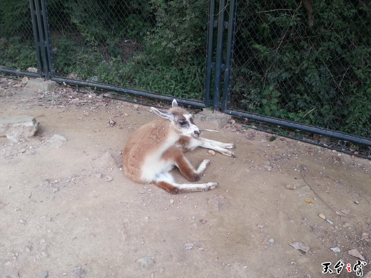 20140815_091448_调整大小.jpg